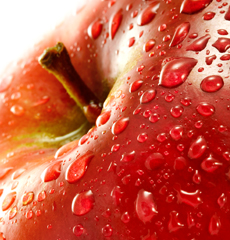 Home Page Image